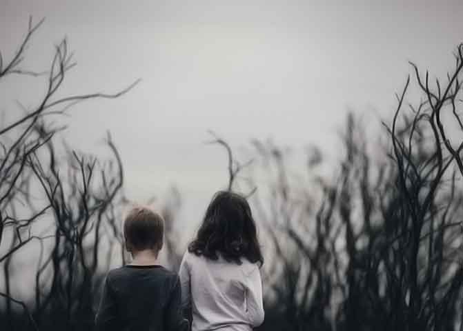 免费版随便用的器测压文章